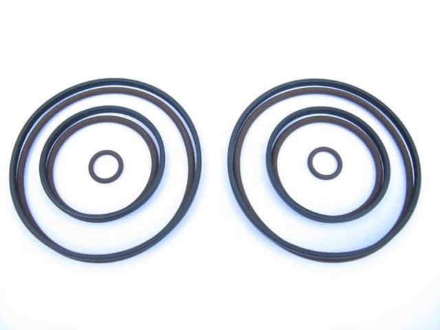 Dual VANOS O-Ring Seal Rebuild Kit For BMW E46 M52tu M54 E36 E39 E60 Z4 X3 X5 – Ratrkmtprftx